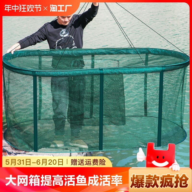 速发养箱养鱼箱存鱼漂浮暂鱼鱼护防逃箱笼折叠装养笼养殖网网钢丝