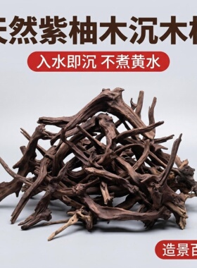 鱼缸造景沉木枝条天然草缸紫柚木森林树根南美骨架长条形木头素材