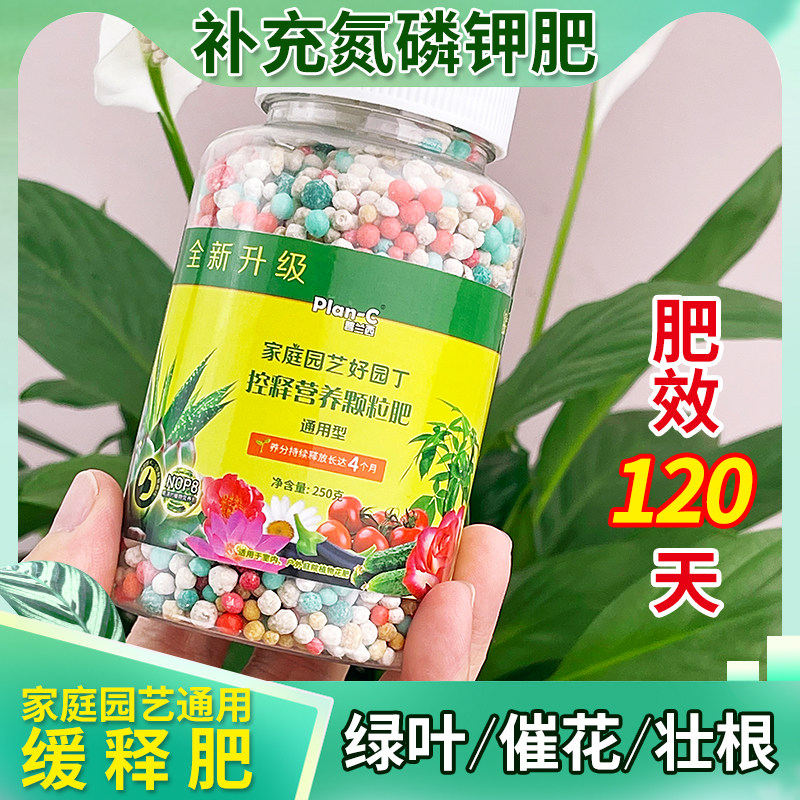 速发花卉肥栽蔬菜多肉盆料植物通用控缓颗释粒发财树绿萝氮磷钾复
