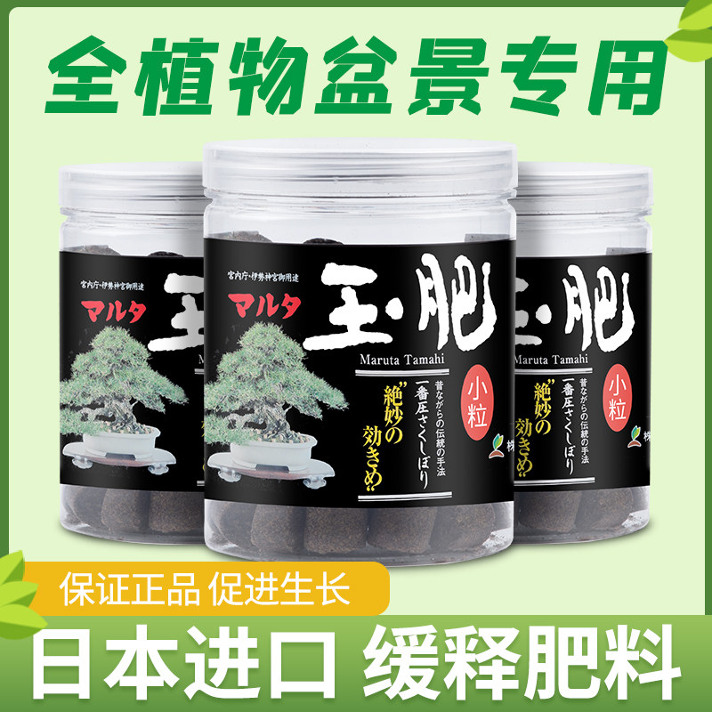 速发玉盆长效有粒缓释肥肥景专用松柏玉肥颗机花肥分装肥料盒