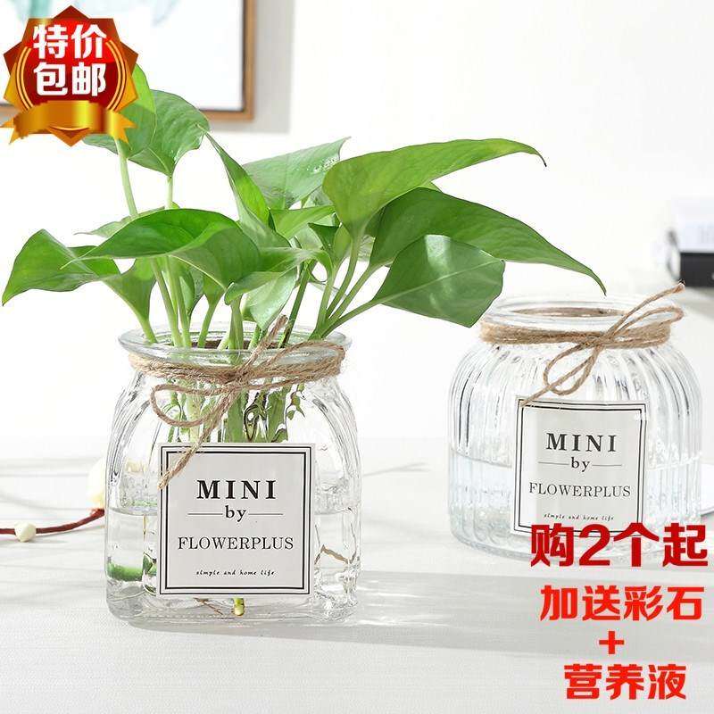 速发创意精致透明养花的小玻璃花瓶绿萝绿植器皿水培花盆水养植物