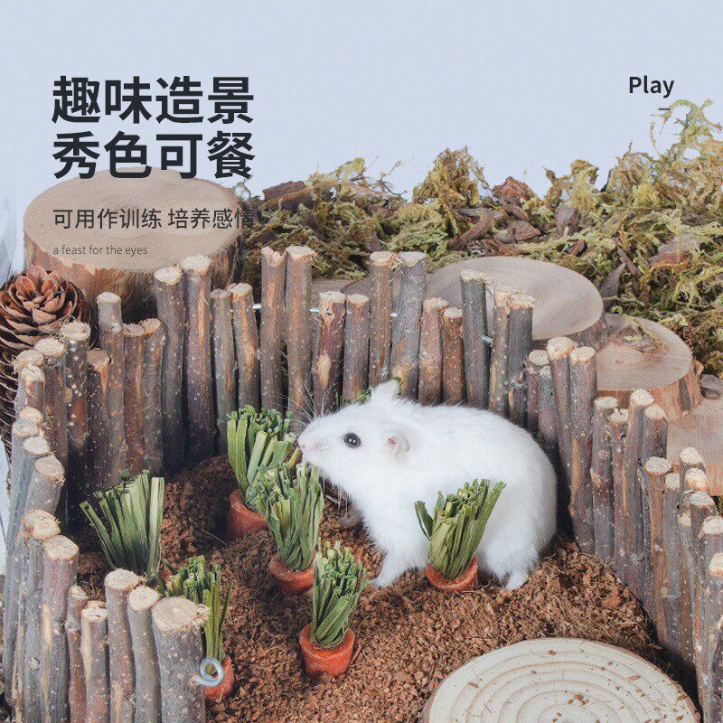 速发宠尚天牙鼠磨仓棒零食粮造胡萝卜饼干金丝熊兔子食景用品小玩