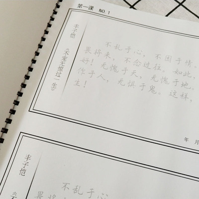 速发钢笔硬笔课日楷书成人行书学生练二册装