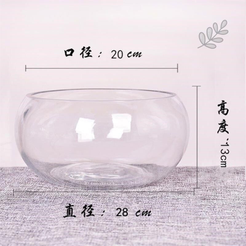 速发水培玻璃花瓶铁明碗莲荷花铜钱草盆缸养睡莲盆缸碗莲盆透树专