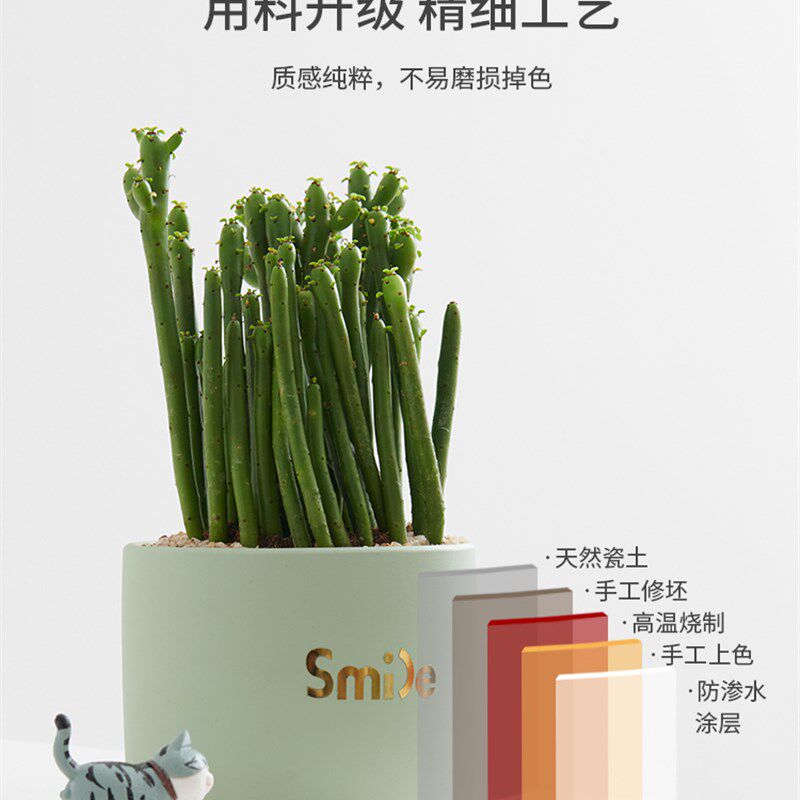 速发小花盆陶瓷意公球仙人掌仙人室创办多肉花盆带托盘盆栽盆