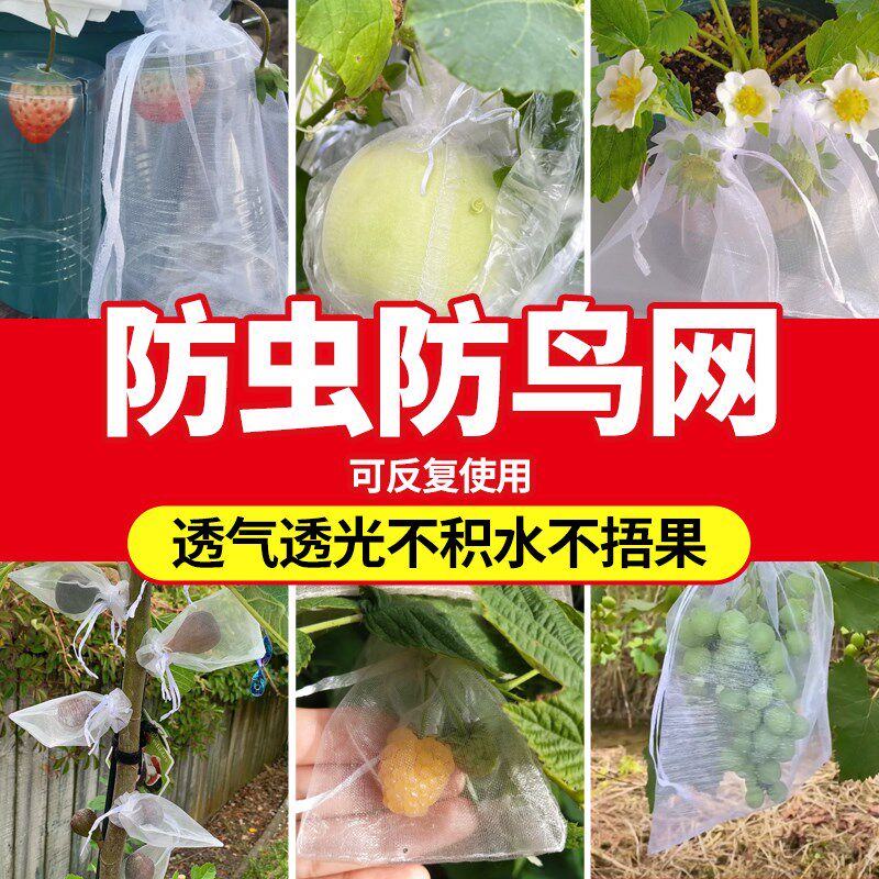 速发蕉虫网纱网种菜番腊肉果袋香防耙耙柑用石榴柑橘套袋神器防鸟