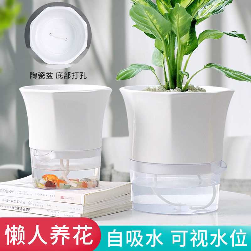 速发懒人陶瓷花盆透明自动吸水花盆大号创意水绿培土浇水免萝花盆