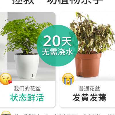 速发绿萝箩懒人花盆内花小号自动吸水培室大桌面家用养中塑料花盆
