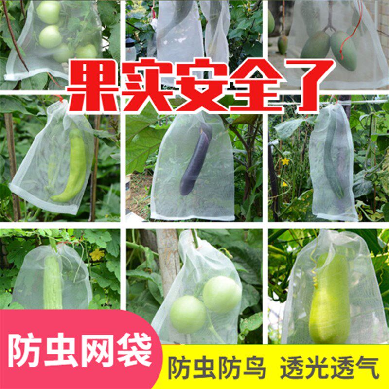 速发草莓水果果树保护专葡萄套袋袋用袋包瓜果鸟虫袋防防露天尼龙
