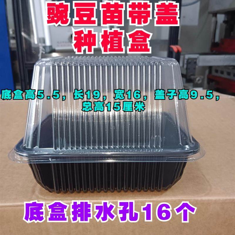 速发芽苗菜豌豆苗水培豆芽一次性塑料种植盒打包盒育苗盘底部