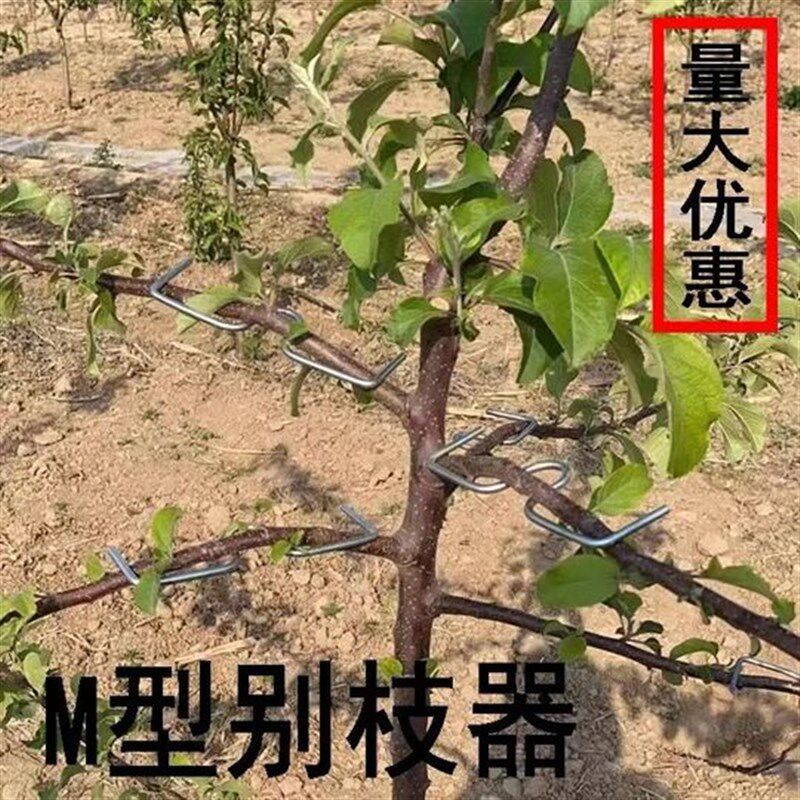 速发果树拉枝神器园开树樱条矫正压枝弯固定器树扭枝艺角枝桃支撑