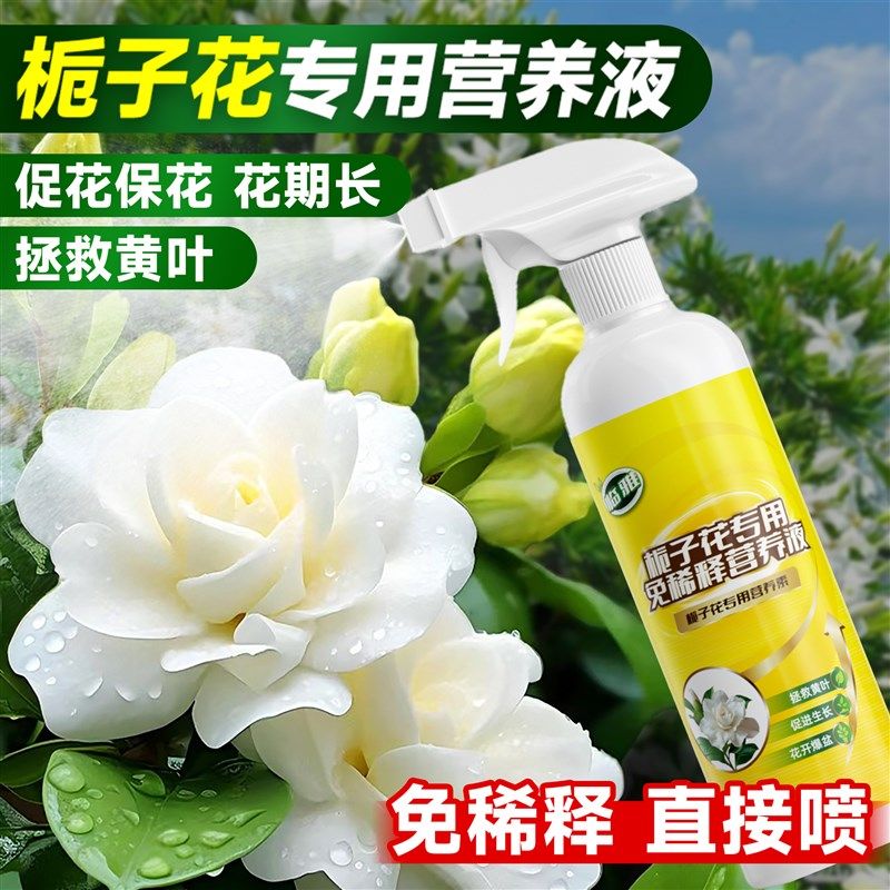 速发栀子花专用营养液免稀释植栽通花型家用养用肥料花卉绿植盆物