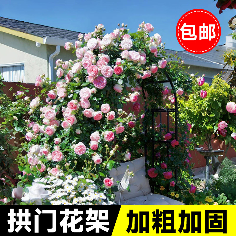 速发拱月花架爬藤支架庭葡户外别墅花园镀锌钢管门季拱形门院萄架