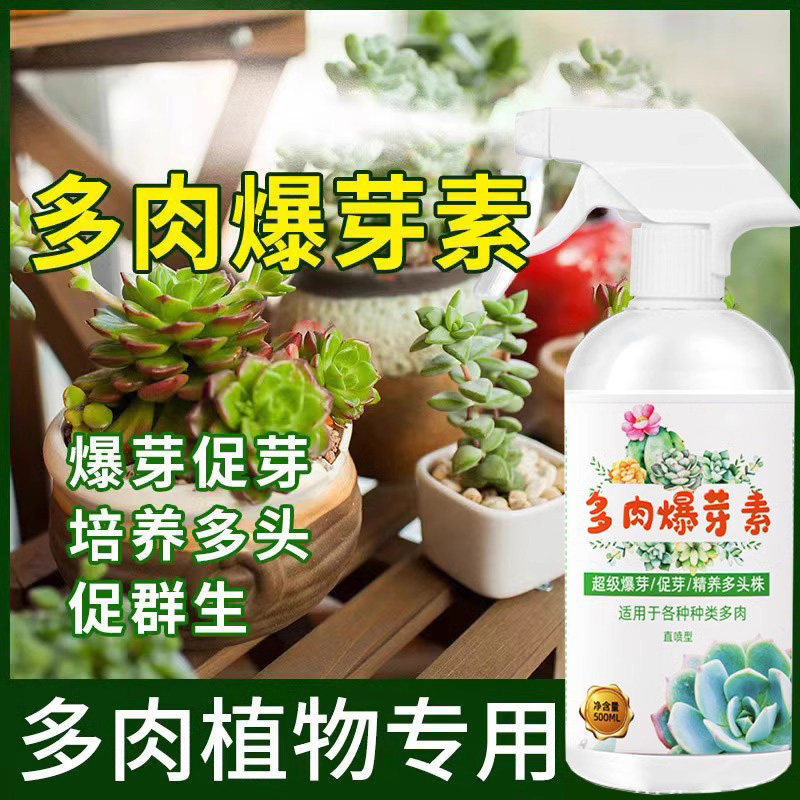 速发芽肉优芽爆芽素矮胖素促花侧花卉生长多头多芽分裂素催芽
