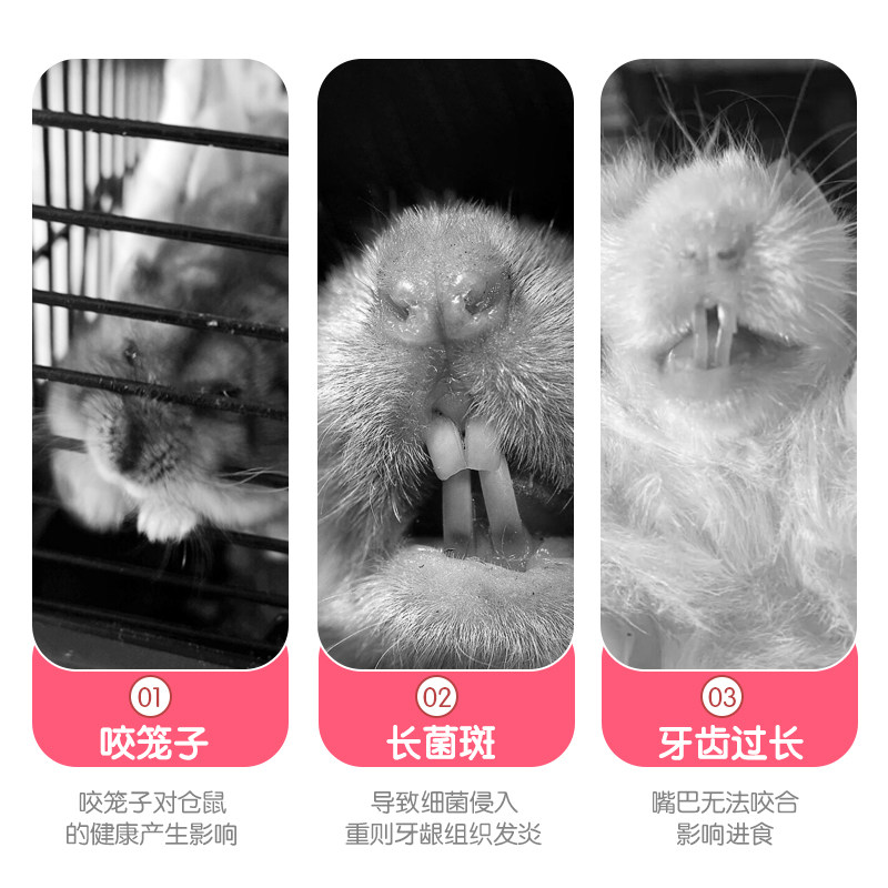 速发兔子磨用棒仓鼠金丝熊零食磨牙饼枝草石树枝玩具造景牙品