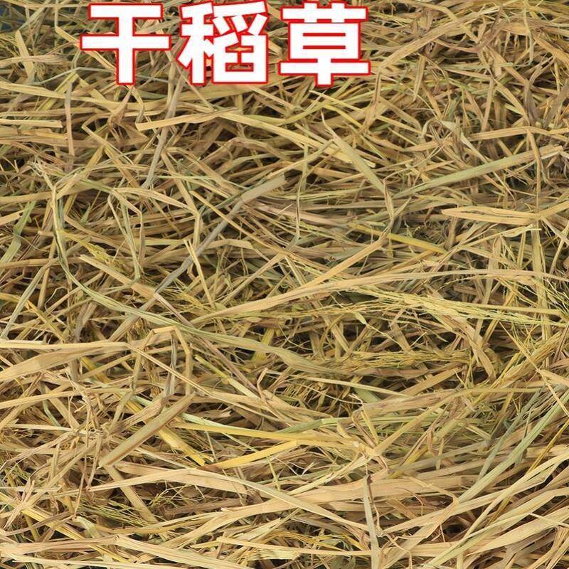 速发干稻草垫窝狗+猫+鸡+鸭+鹅兔草窝冬季宠物垫窝铺窝取暖防寒软