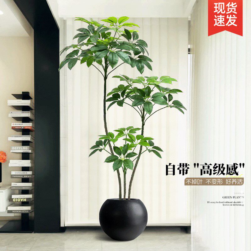速发大叶伞仿厅绿植客生级高室内植物沙发边大型落地装饰盆栽