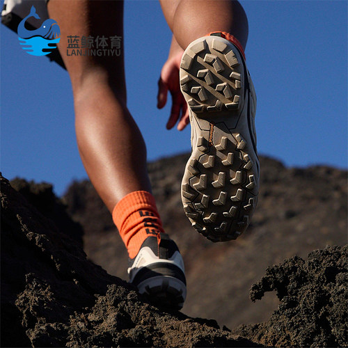 Adidas/阿迪达斯正品2025春新款女士经典缓震登山徒步鞋IH2802