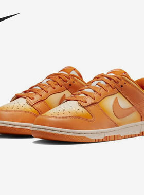 Nike/耐克正品秋季新款女子休闲轻便运动低帮板鞋DX2953-800