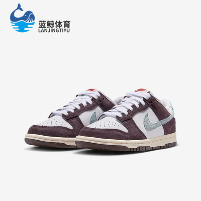 Nike/耐克正品2026春季款GS女子大童耐磨低帮休闲鞋IB5691-100