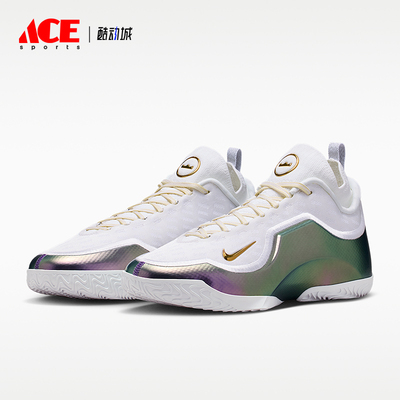 Nike/耐克正品LeBron新款男白紫色经典实战外场篮球鞋IB9558-100