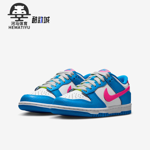 Nike/耐克正品Dunk Low GS女子大童经典透气休闲板鞋IB7747-406