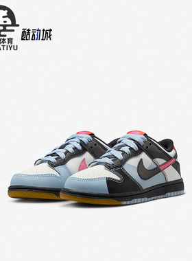 Nike/耐克正品春季新款GS女子大童复古低帮板鞋FJ2687-100