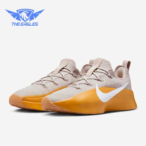 Nike/耐克正品LeBron TR 1男士耐磨低帮系带减震训练鞋FJ6151-202