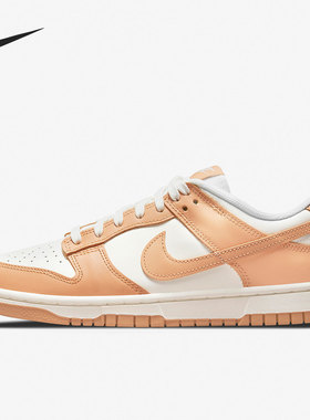 Nike/耐克官方正品休闲女子时尚低帮轻便经典运动鞋 DD1503-114