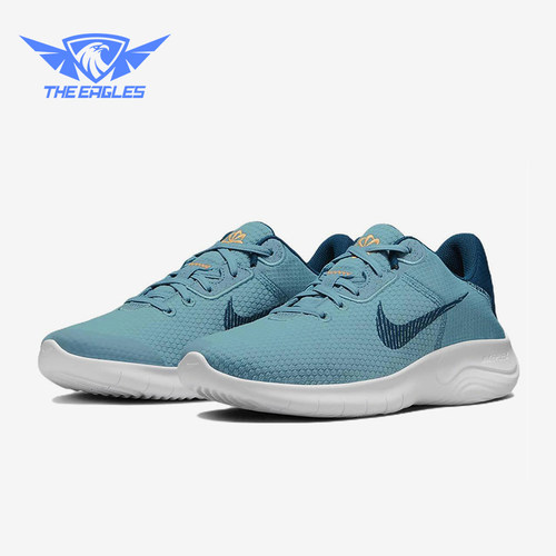 Nike/耐克正品EXPERIENCE RUN 11男士经典缓震跑步鞋DD9284-401