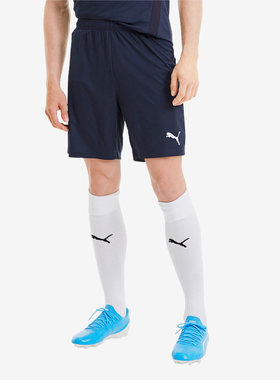 Puma/彪马正品夏季新款男子简约透气训练运动短裤704262-06