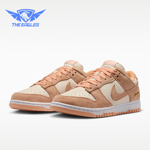 Nike/耐克正品2026年女士休闲时尚低帮运动板鞋IO4244-800