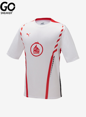 Puma/彪马正品王者荣耀联名男士圆领透气时尚印花运动短袖T恤