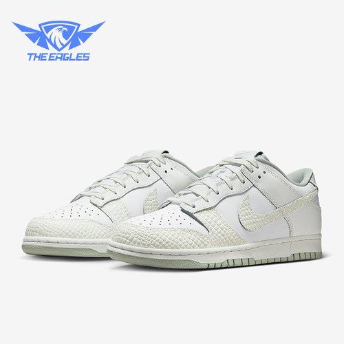 Nike/耐克正品Dunk Low Retro LTD 2男女运动复古板鞋IB2262-100