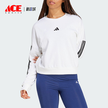 Adidas/阿迪达斯正品W 3S FT SWT女士宽松休闲圆领卫衣JD5285