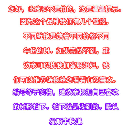 嘉宝果台湾树葡萄艾斯卡四季嘉宝果开花结果南方阳台庭院盆栽树苗