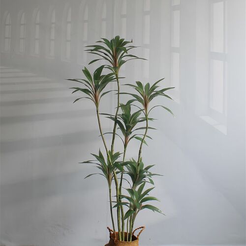 高端仿真绿植物朱蕉铁树橱窗民宿酒店铺客厅大型落地装饰摆件盆景