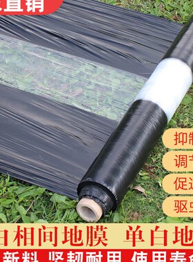 农用加厚黑白相间地膜单道白双道白保温保湿除草种地种菜大棚保暖