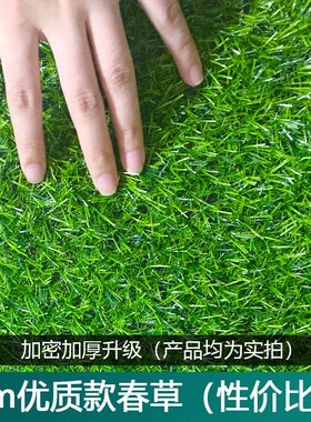仿真草坪地毯绿色人造人工塑料草皮装饰幼儿园户外绿植围挡假草垫