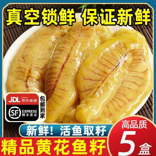 黄花鱼籽新鲜超大鱼泡鱼子鱼肚鱼白鱼膘鱼杂鲜活海鲜鱼籽冷冻商用