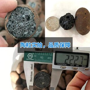 新品抗压轻质隔音墙体黏土陶粒回B填化妆室透气轻质大颗粒垫底铺