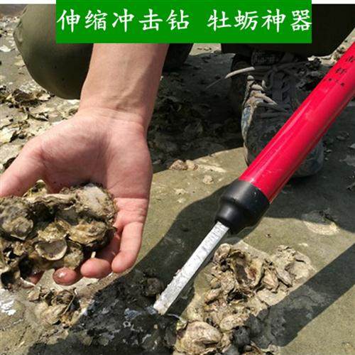 极速赶海挖生蚝小镐敲牡蛎海蛎子A钩鲜挖花蛤蚬仔贝螺神器专用工,鲜花速递/花卉仿真/绿植园艺,耙子,淘宝优惠券,粉丝福利购,淘宝优惠卷