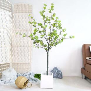 仿真吊钟树客厅大型落地装饰仿真绿植马醉木仿真植物盆栽摆件