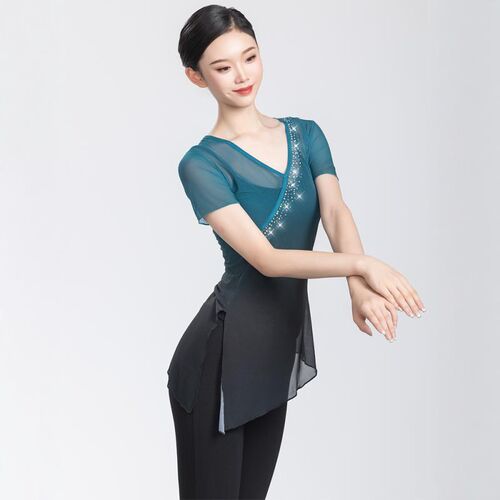 新品北舞古典舞练功服班服艺考纱衣基训I民族舞女上衣舞蹈服身韵