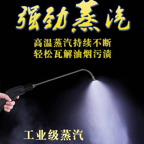 新品高温高压蒸汽清洁机清洗油烟机设备家电清Q洗机多功能一体机