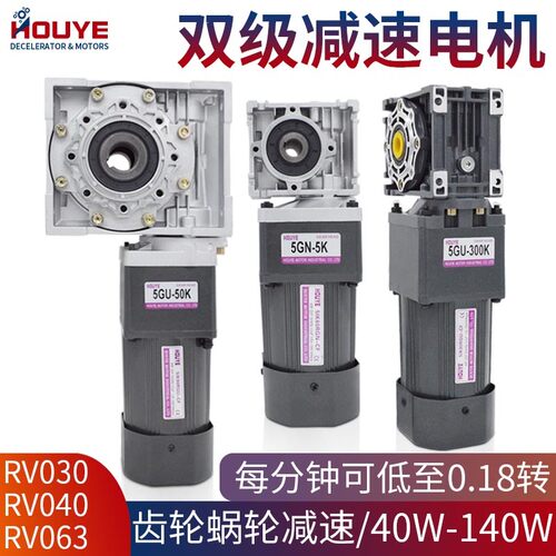 新品低速交流220V双级齿轮蜗轮减速电机40W-140SW自锁涡轮蜗杆慢