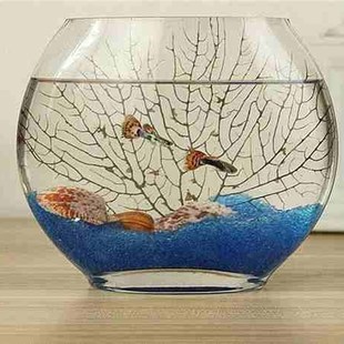 极速扁口透明玻璃缸扁圆形乌龟缸水培M花瓶扁形鱼缸小中大号