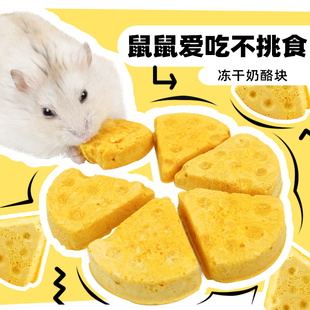 新品仓鼠零食冻干奶酪粮r食小金丝熊吃的营养食物磨牙玉米棒专用