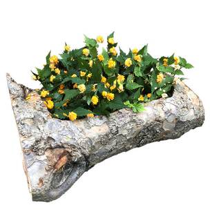 极速老木头d花盆木槽花盆特色花盆多肉老桩大盆造型独特的多肉花