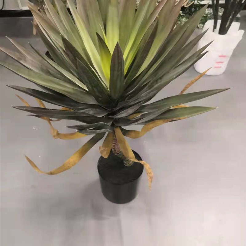 极速仿真室内装饰盆栽绿植 凤尾龙血F丝兰植物R摆件盆景落地家居